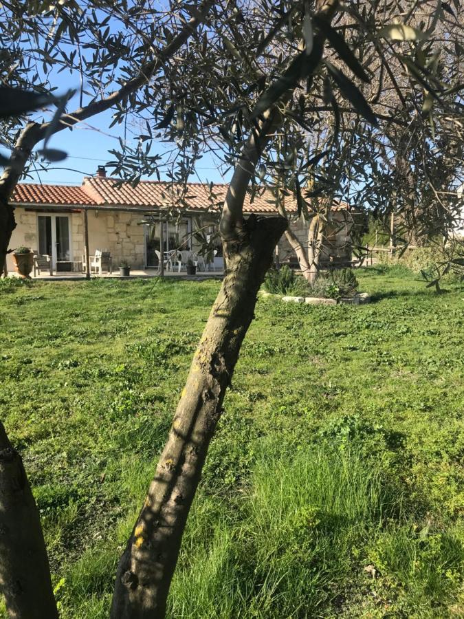 Willa Mazet En Camargue Arles Zewnętrze zdjęcie